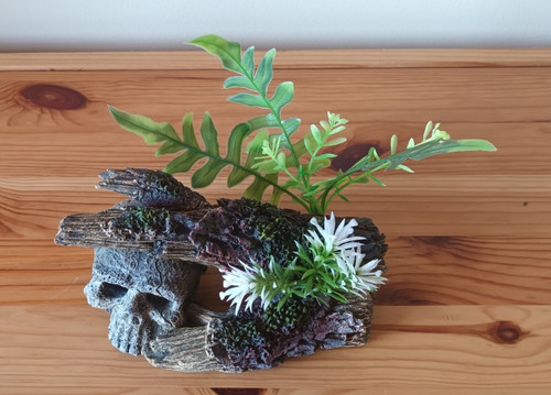 Brown green grey - skull, log