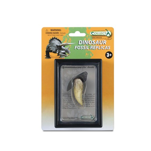 Collecta tooth - collecta,