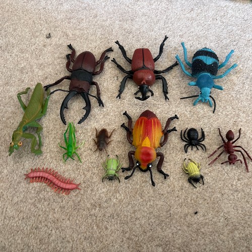 Large bug insect - 11,