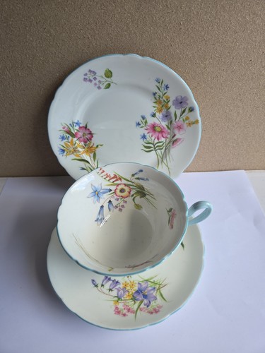 Shelley bone china wild - shelley,