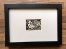 ‘Black Headed Gull’-