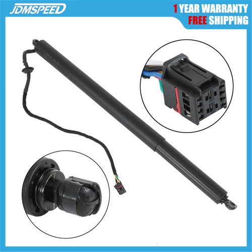 Electric tailgate gas strut - tailgate,