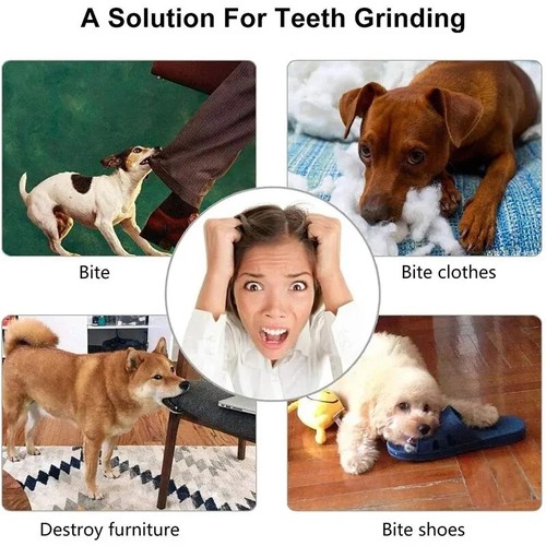 Dog treat ball interactive - ball,