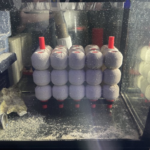 Maxspect bio sphere media - bio-sphere,