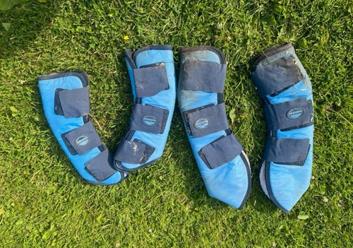 Travel boots for horse - boots,