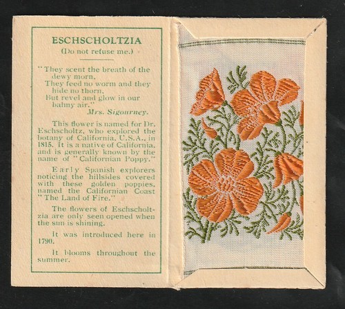 Kensitas flowers wix tobacco - flowers,