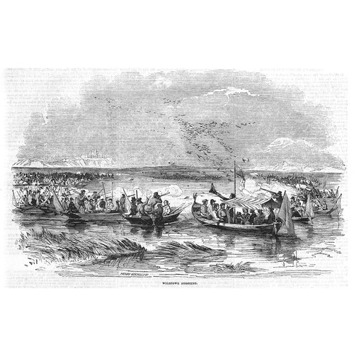 Hunting wildfowl shooting - wildfowl,