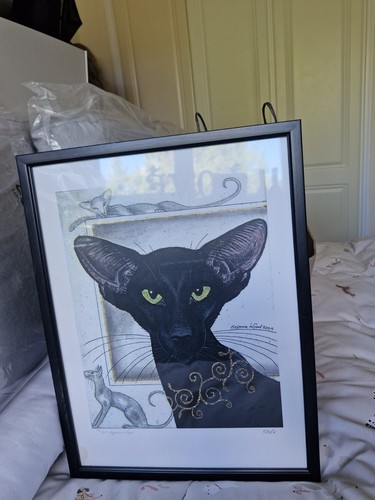 Limited edition oriental black - limited,