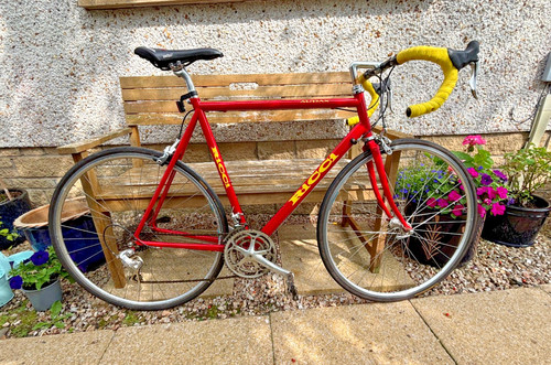 Ricci audax steel framed road - steel,