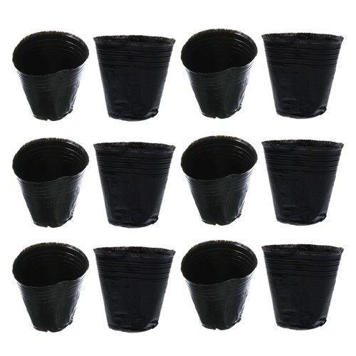 500pcs practical plant - 500pcs,