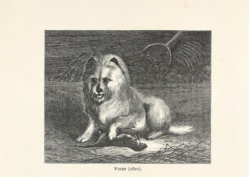 Vixen 1821 works - works, edwin