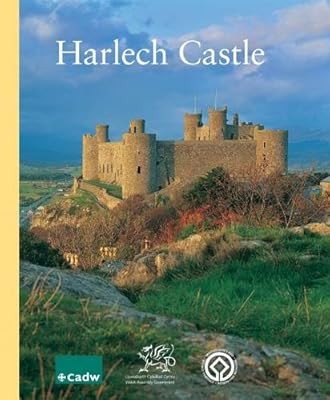 Harlech castle taylor - castle,,