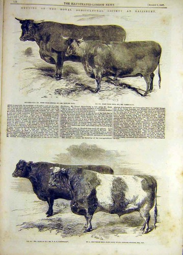 Old antique print 1857 - old,
