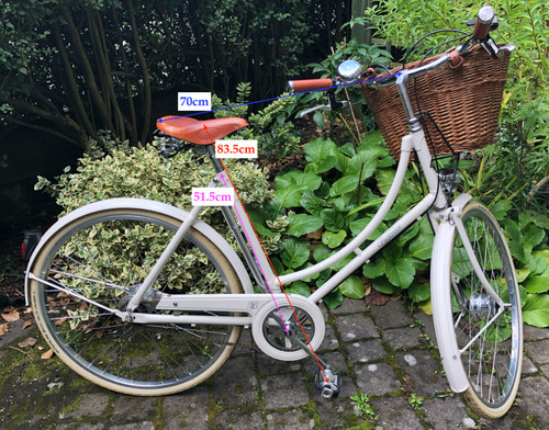 Ladies bicycle with basket - bicycle,