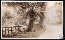 Alne nr Tollerton, Tholthorpe