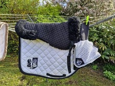 HKM JOHN WHITAKER Showjumping