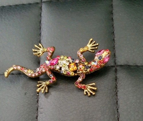 Lizard iguana multicoloured - lizard,