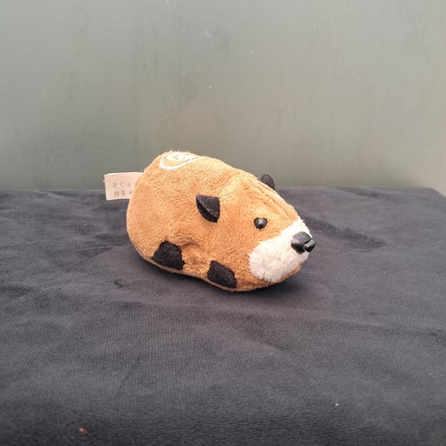 Kung zhu pets azer - pets, hamster