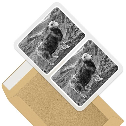 Rectangle stickers 7 5cm - x,