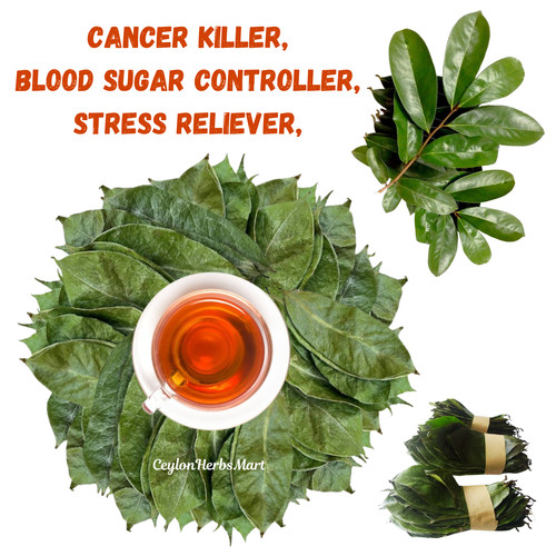 Sun dried soursop graviola - soursop,