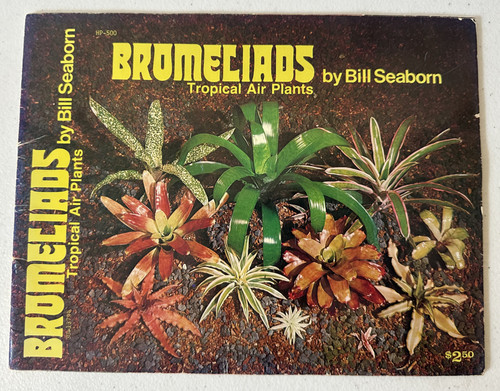 Bromeliads tropical air plants - air,
