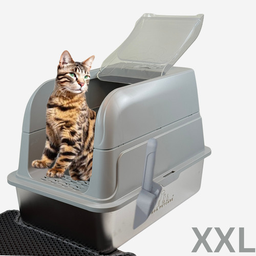 Stainless steel cat - steel, litter