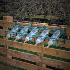 Lamb Feeding Bottle Holder