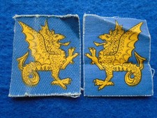 PAIR 43RD WESSEX DIVISIONAL
