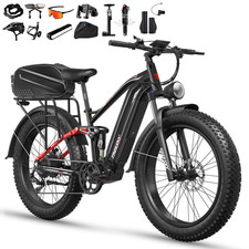 Freesky M410 Electric Bike