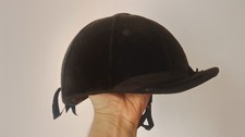 Polo or Equestrian  horse