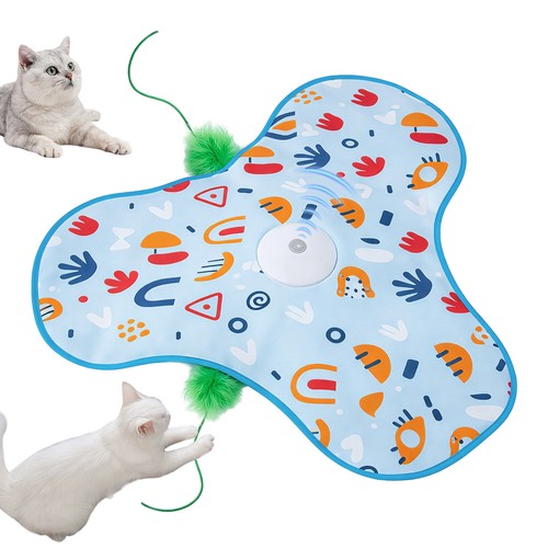 Hide and seek interactive cat - seek,