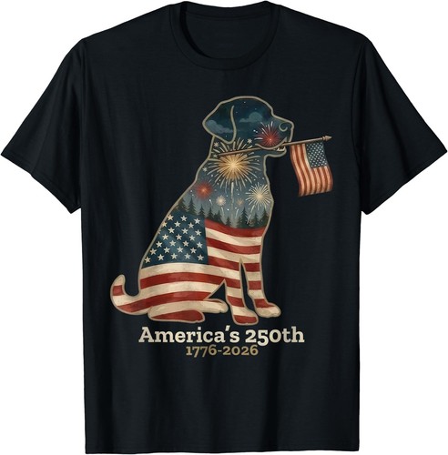 Labrador retriever america - labrador,
