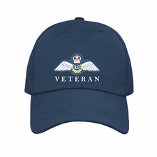 Royal Air Force Veteran Armed
