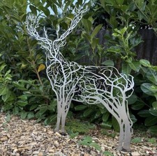 Stag deer doe - stag,