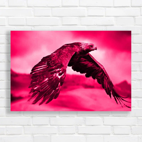 Breathtaking bald eagle - breathtaking, in