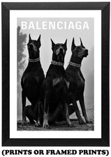 Doberman Dogs Fashion (A5 A4