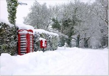 Doodlecards Pack of 10