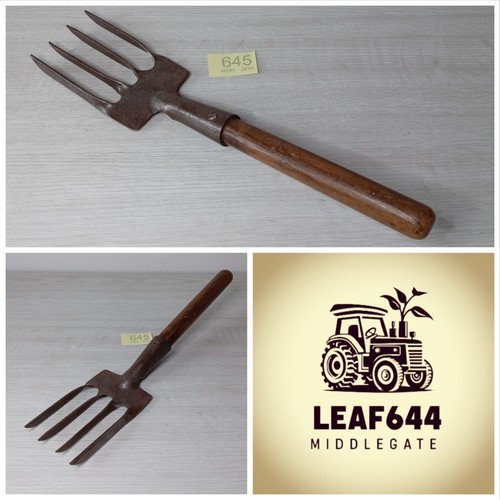 Gardeners hand fork - hand,