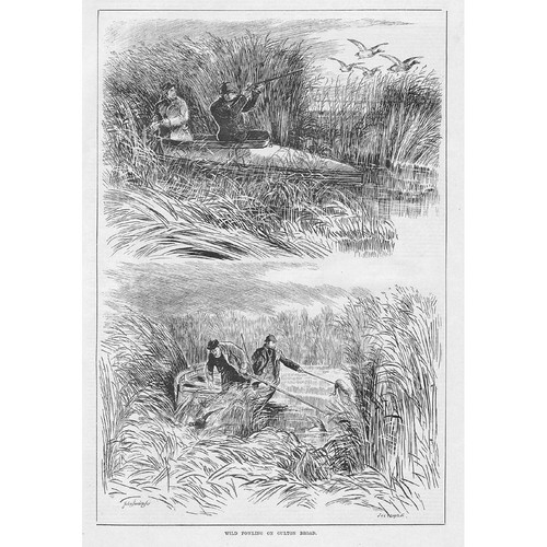 Suffolk wild fowling oulton - suffolk, on