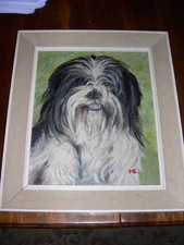 RARE TIBETAN TERRIER DOG OIL PAINTING 1960 SIGNED FRAMED TERRIERS