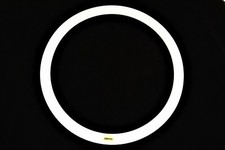 Espresso Fixie Track Non Machined Bike Rim 700c 622 x 12 42mm wall 32 Hole white