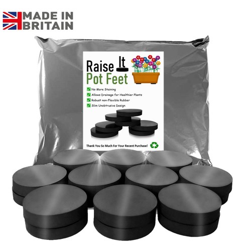 Plant pot feet - plant,