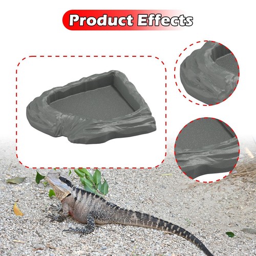Reptile water dish corner - reptile,