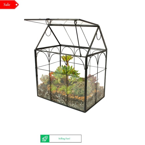 House shape glass succulent - house,