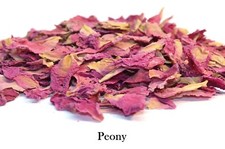 Various Dried Flowers & Petals