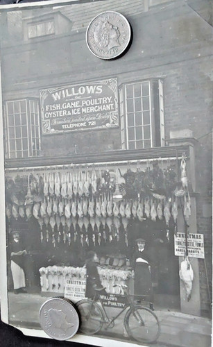 Postcard willows for - ,