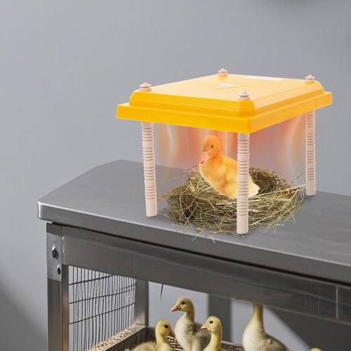 Chick brooder heating plate - chick,