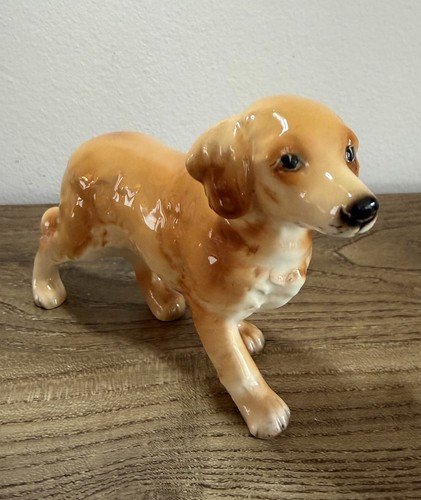 Beautiful golden retreiver - golden,