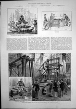 Antique Old Print Queensland GQuartz Crushing Mill Clam Shells Saw Fish 1886
