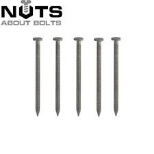 BRIGHT ANNULAR RING SHANK NAILS 20mm 25mm 30mm 40mm 50mm 65mm 75mm 100mm